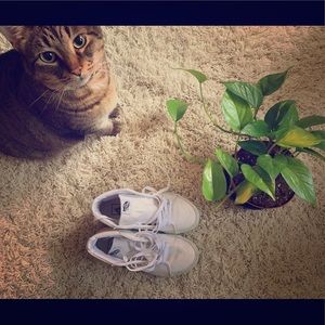 Vans White Canvas Women’s Hight Tops